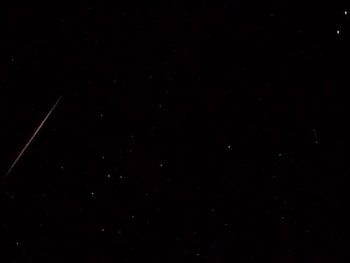 Leonids 2001